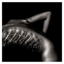 Load image into Gallery viewer, OMNI LITHOGRAPH SET
