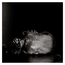 Load image into Gallery viewer, OMNI LITHOGRAPH SET
